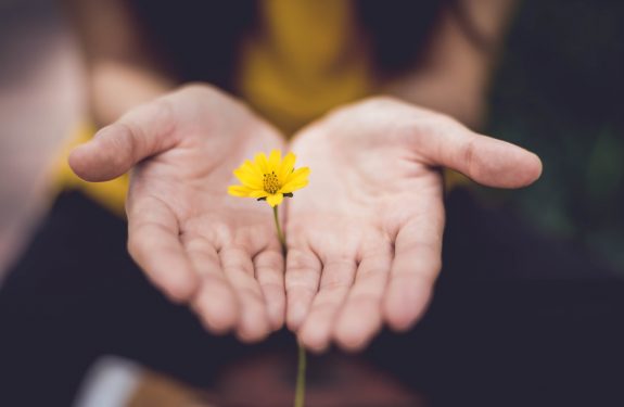selective focus photography of woman holding yellow petaled flowers