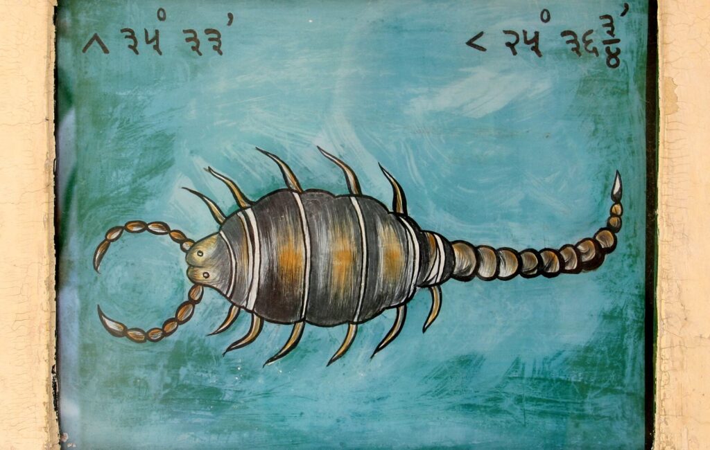 Signe du Scorpion : dates, traits de caractère et symbolique du huitième signe du zodiaque