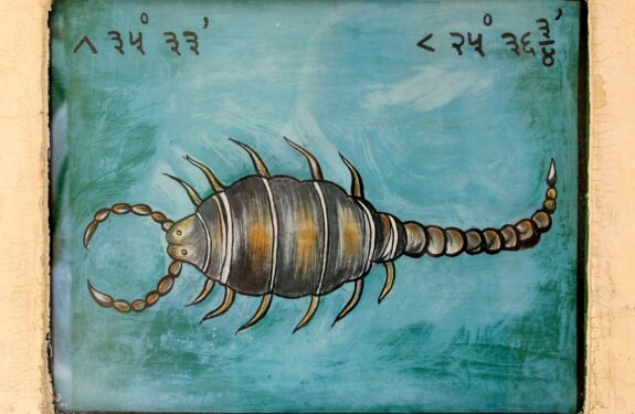 Signe du Scorpion : dates, traits de caractère et symbolique du huitième signe du zodiaque